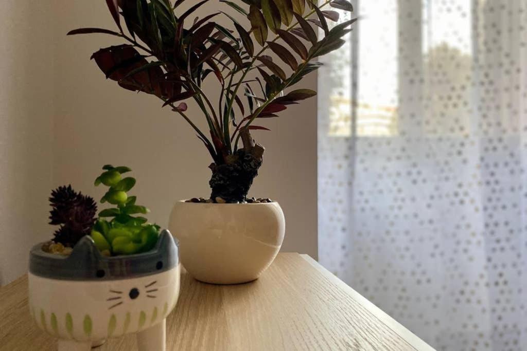Central Modern Apartment Rome -Locazione Turistica- Esterno foto